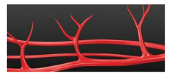 Technologia MP2 